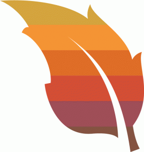 Intro to BAO leaf logo